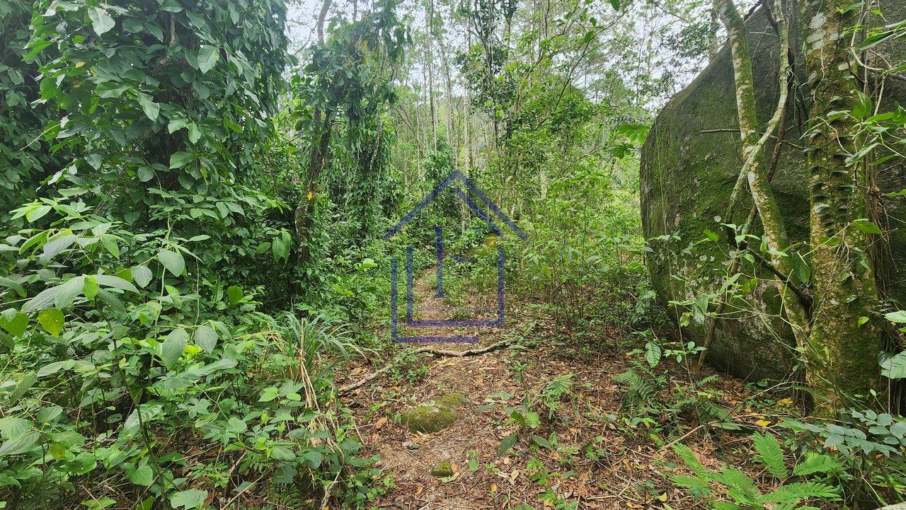 Oportunidade de investimento!!! Área de terreno com 4.500m² no Limoeiro em Guapimirim - Guapimirim - 