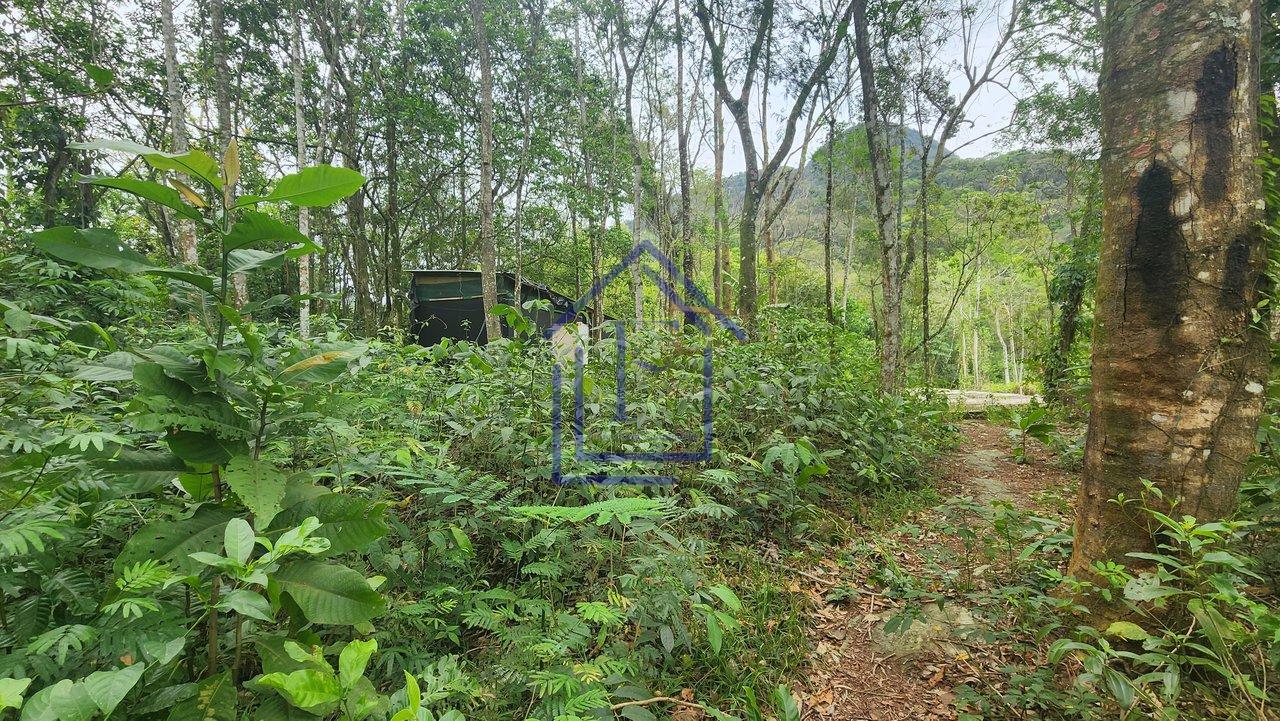 Oportunidade de investimento!!! Área de terreno com 4.500m² no Limoeiro em Guapimirim - Guapimirim - 