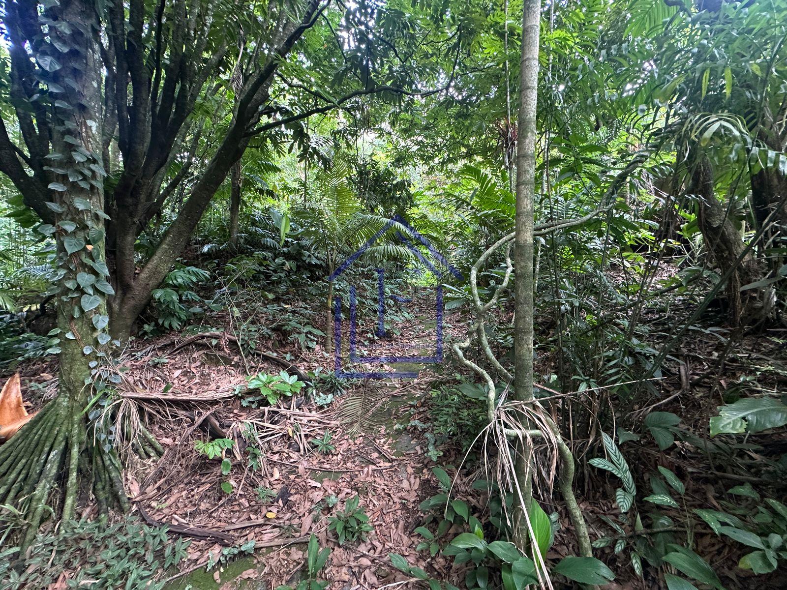 Propriedade Bot&acirc;nica Hist&oacute;rica em Guapimirim com acesso &agrave; cachoeira 🌿  Guapimirim - 