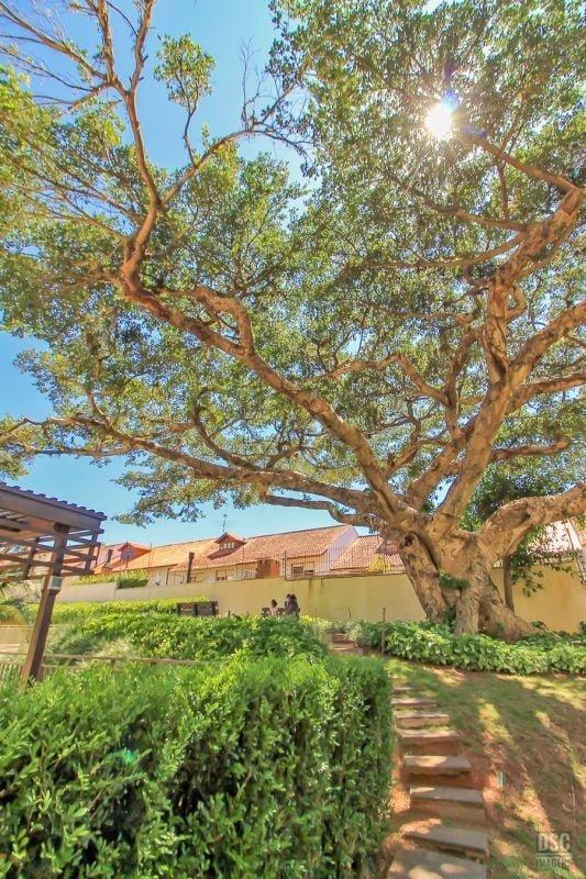 Apartamento Pedra Bonita 3711-121 3 suítes 126m² cavalhada Porto Alegre - 