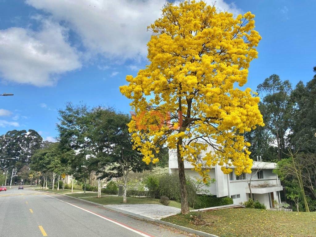 Casa com 4 suítes - Alphaville - Tamboré 1 - Barueri - 