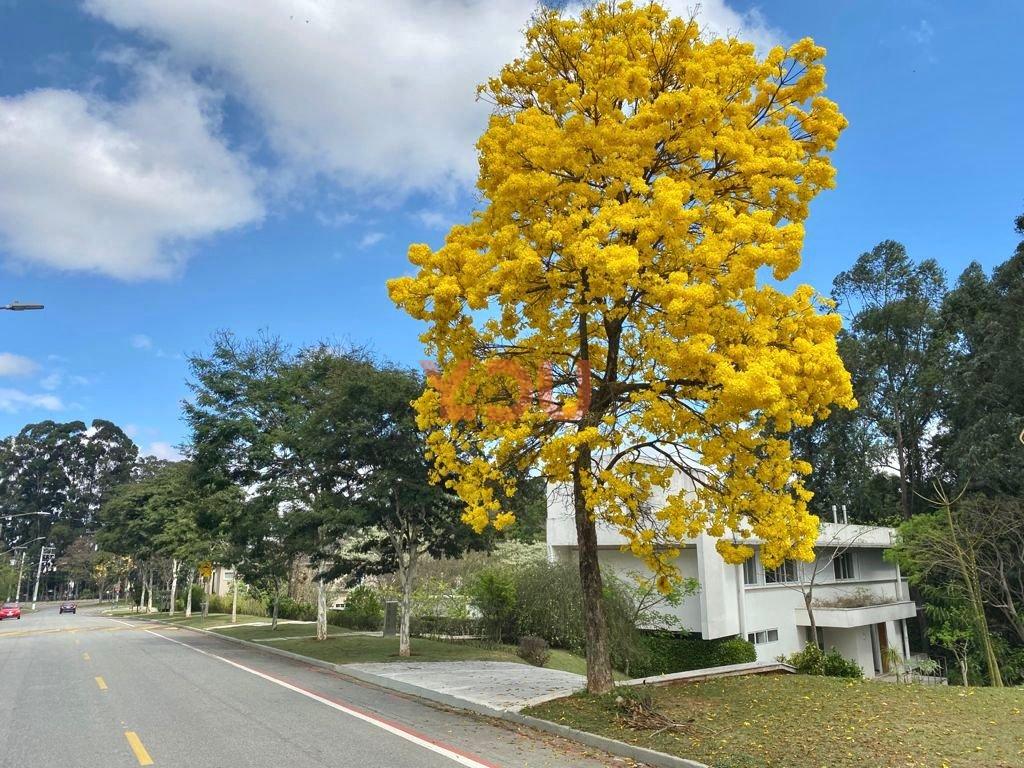 Casa com 4 suítes - Alphaville - Tamboré 1 - Barueri - 