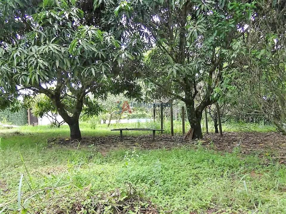 CH&Aacute;CARA EM SARAPU&Iacute;  Sarapuí - 