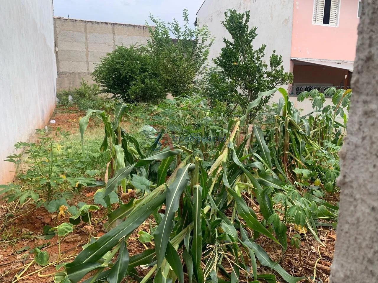 TERRENO WANEL VILLE II &ndash; SOROCABA  Sorocaba - 