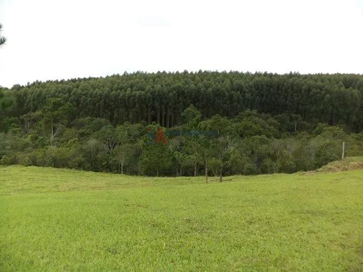 POUSADA EST&Acirc;NCIA RIACHO DOCE EM PILAR DO SUL  Pilar do Sul - 