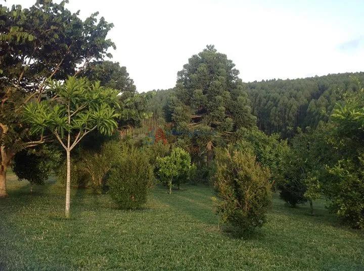 POUSADA EST&Acirc;NCIA RIACHO DOCE EM PILAR DO SUL  Pilar do Sul - 