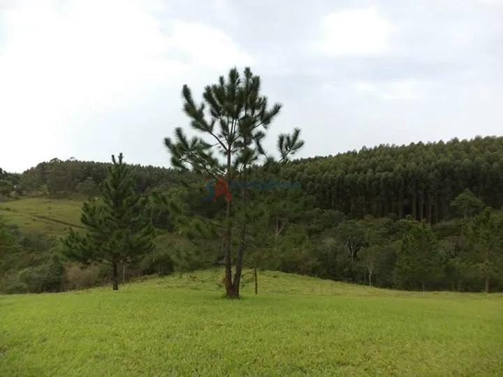 POUSADA EST&Acirc;NCIA RIACHO DOCE EM PILAR DO SUL  Pilar do Sul - 