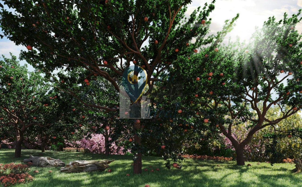 Apartamento 2 dorms com vaga no Bonsucesso Estrada Presidente Juscelino Kubitschek de Oliveir Guarulhos - 