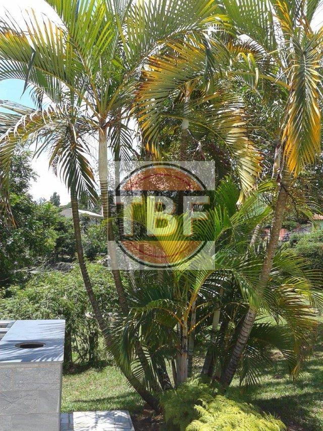 Chácara no Residencial Vila Verde - Valinhos - 