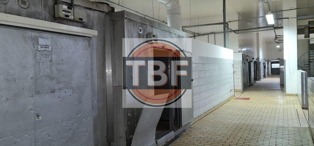 Galpão pronto para cozinha industrial de restaurantes - São Paulo - 