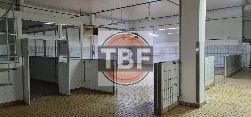 Galpão pronto para cozinha industrial de restaurantes - São Paulo - 