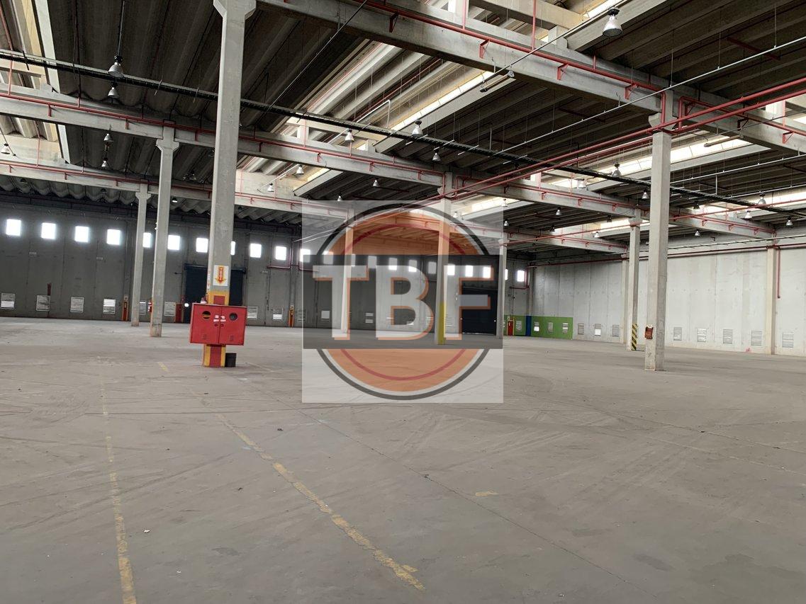 Galpão Logístico/ Industrial na Rod Raposo Tavares - São Paulo - 