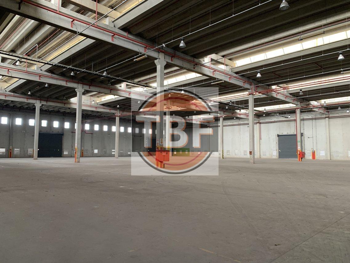 Galpão Logístico/ Industrial na Rod Raposo Tavares - São Paulo - 