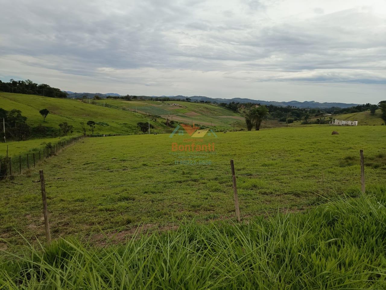 Terreno, 10 hectares - Foto 10