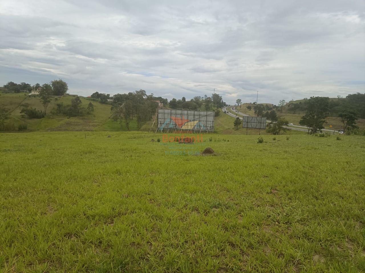 Terreno, 10 hectares - Foto 6