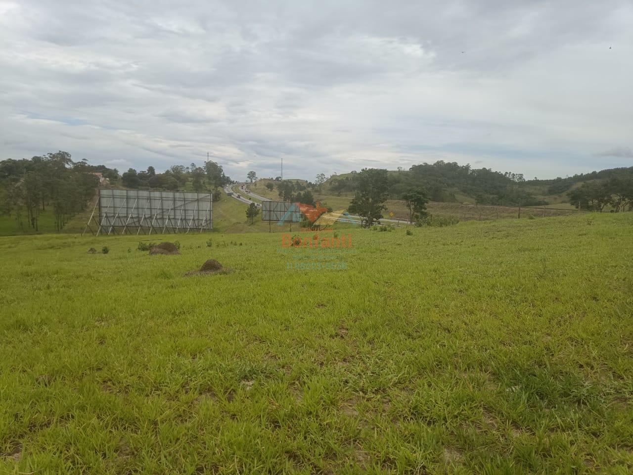 Terreno, 10 hectares - Foto 7