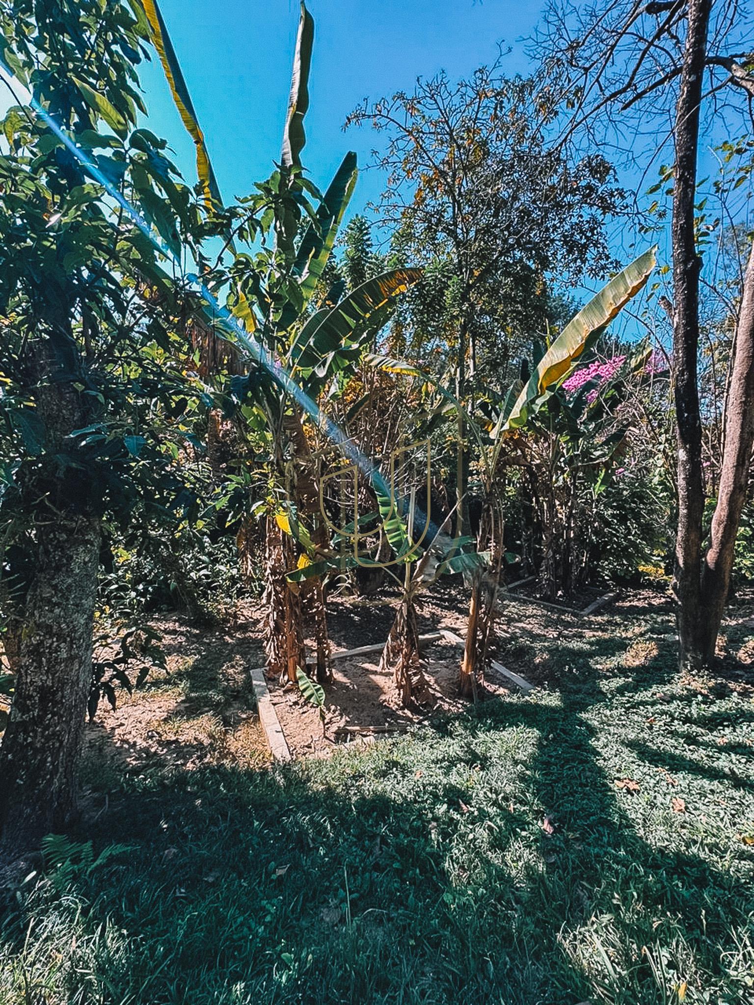 Mans&atilde;o de luxo com projeto exuberante no Quinta das Flores - S&atilde;o Jos&eacute; dos Campos/SP  São José dos Campos - 