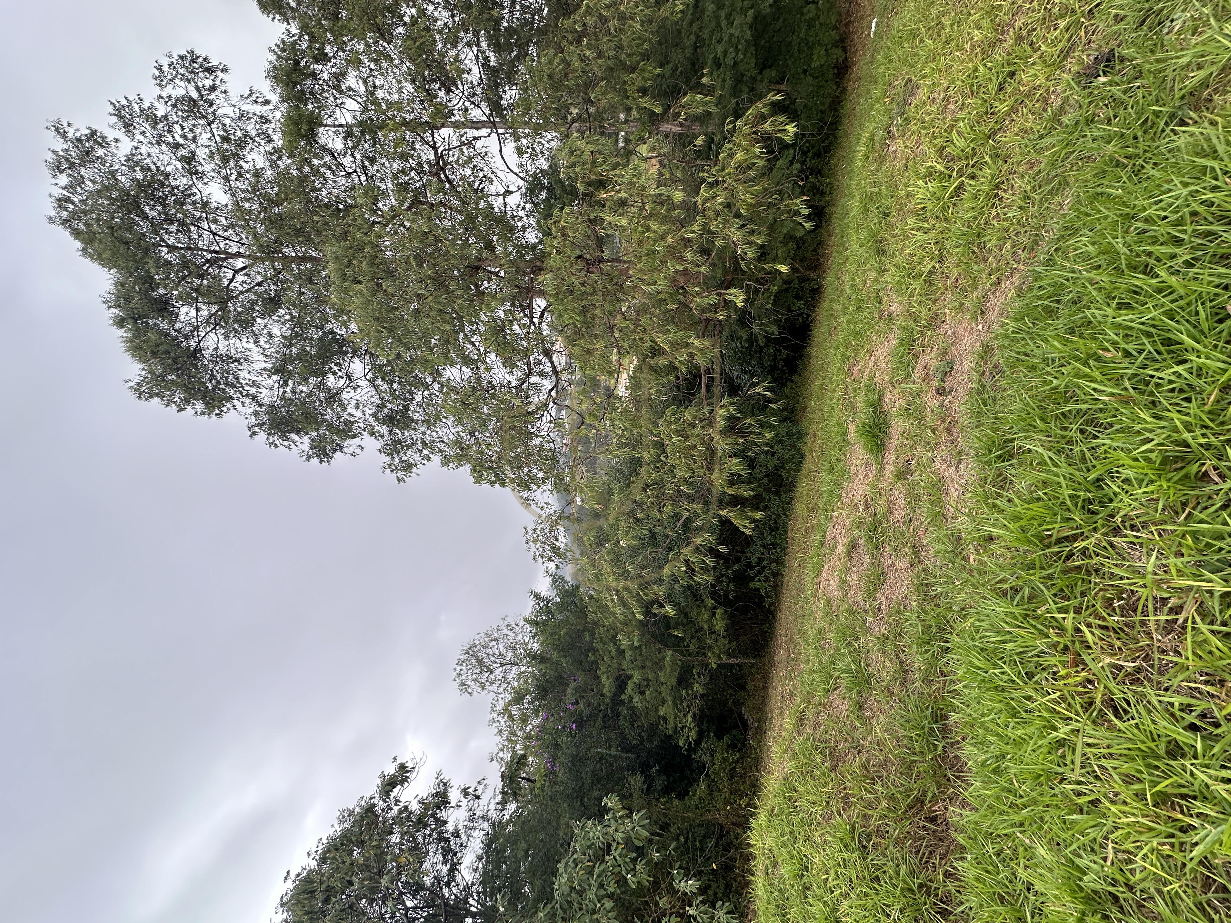Terreno de 1548m&sup2; com vista no Fazenda S&atilde;o Francisco - Jambeiro/SP  JAMBEIRO - 