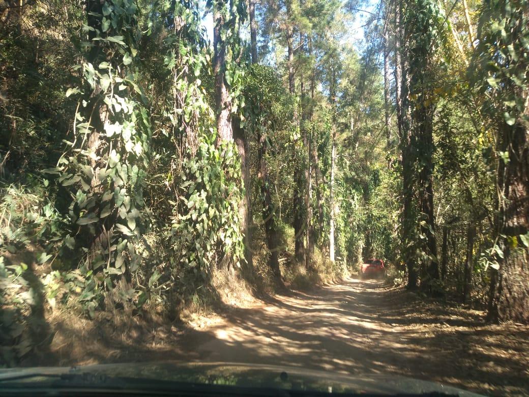 Ch&aacute;cara com 9.000m&sup2; no Recanto dos Pinherais - S&atilde;o Jos&eacute; dos Campos/SP  São José dos Campos - 