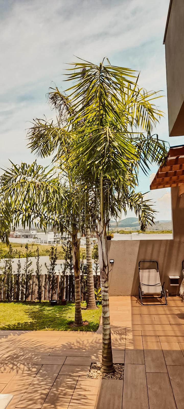 Casa T&eacute;rrea com 4 Su&iacute;tes no Condom&iacute;nio Residencial M&ocirc;naco Rua Joaquim Vieira Alves São José dos Campos - 