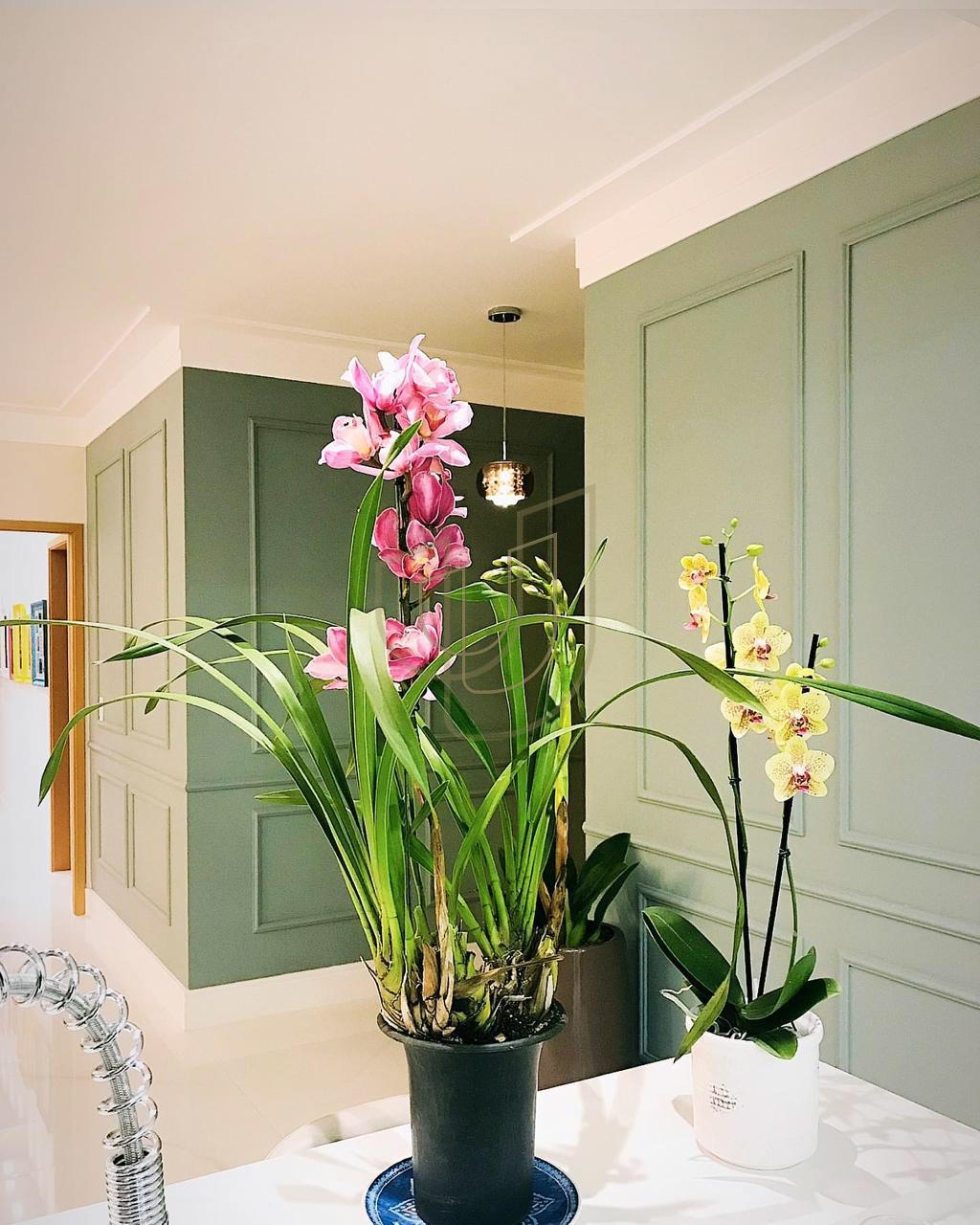 Apartamento com 3 Su&iacute;tes no Edif&iacute;cio Celebrity Rua Bárbara Knippelberg Loureiro São José dos Campos - 