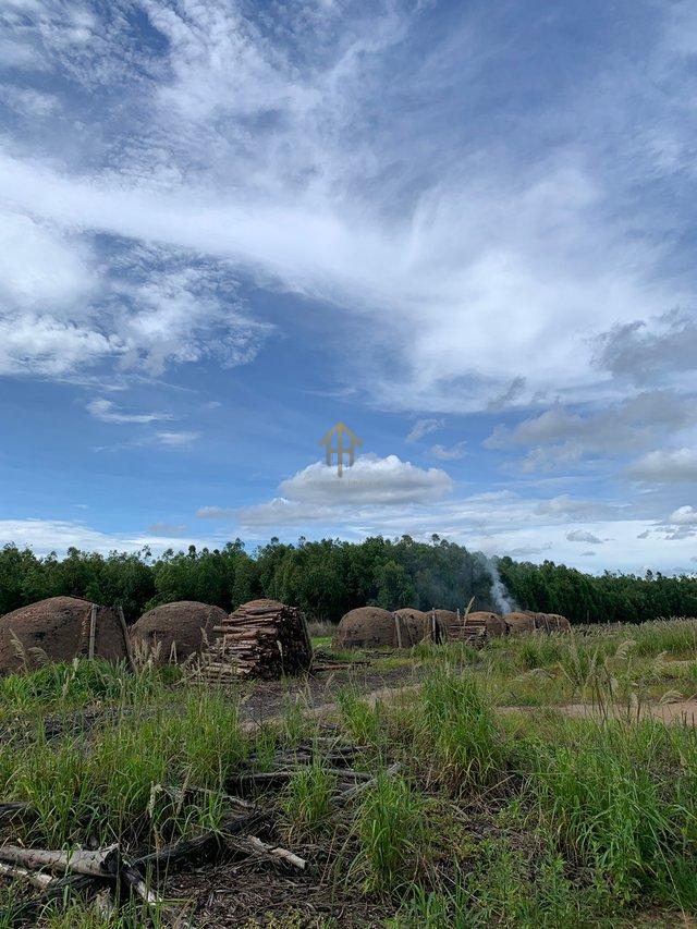 Fazenda em Buritis/MG – 616 ha de Oportunidade e Alta Rentabilidade fazenda São vicente da Direita/Campanha GII BURITIS - 