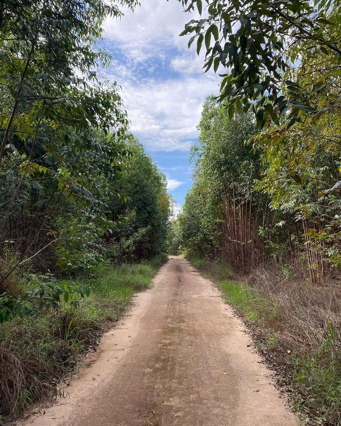 Fazenda em Buritis/MG – 616 ha de Oportunidade e Alta Rentabilidade fazenda São vicente da Direita/Campanha GII BURITIS - 
