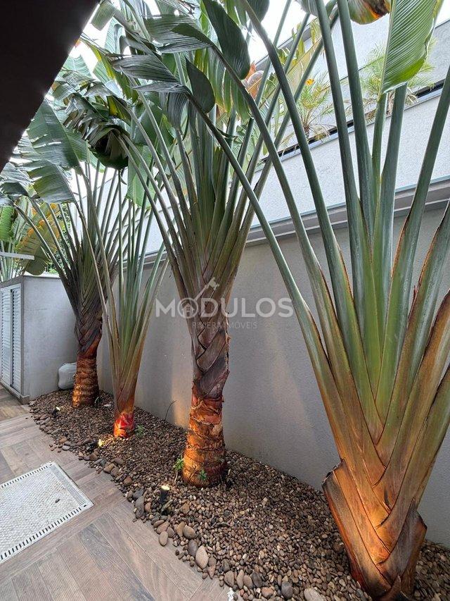 Mansão com três pavimentos, elevador, 7 suítes à venda, 555 m² por R$ 13.500.000,00 Alameda Maio Bertioga - 