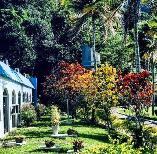 Casa, 21 quartos - Foto 8