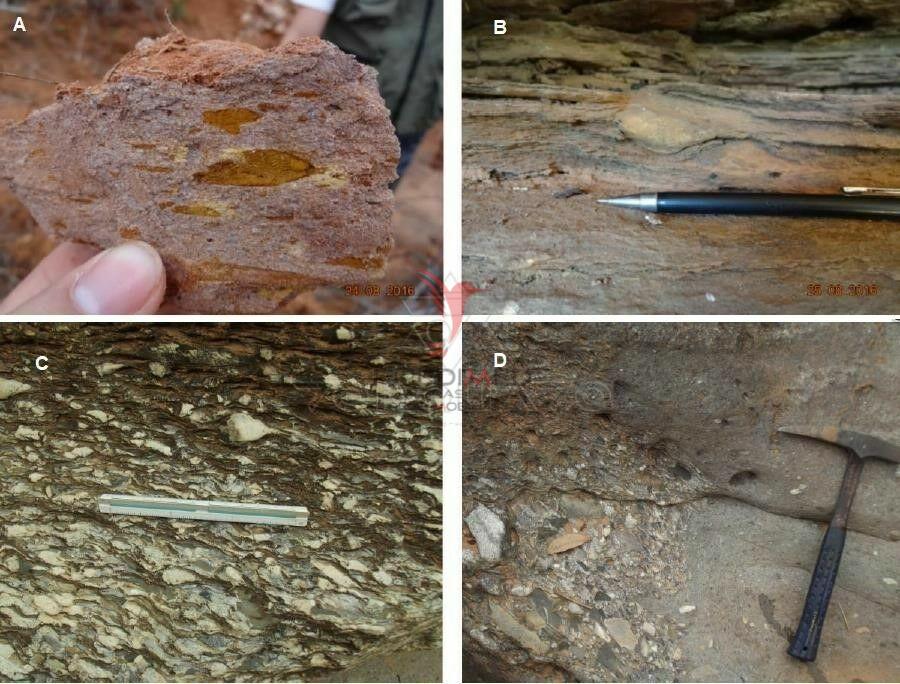 Fazenda, 501 hectares - Foto 4