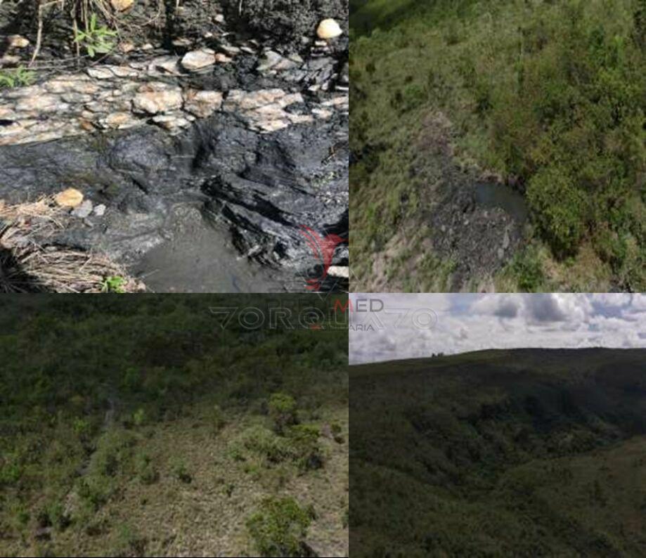 Fazenda, 501 hectares - Foto 3