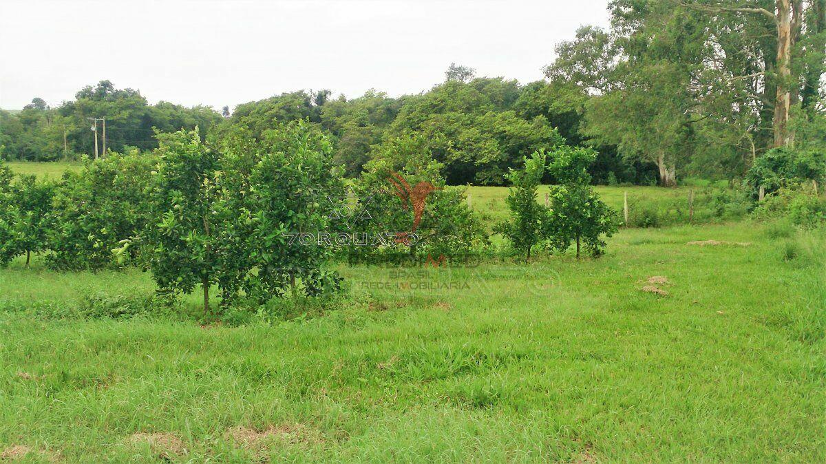 Terreno, 7 hectares - Foto 9