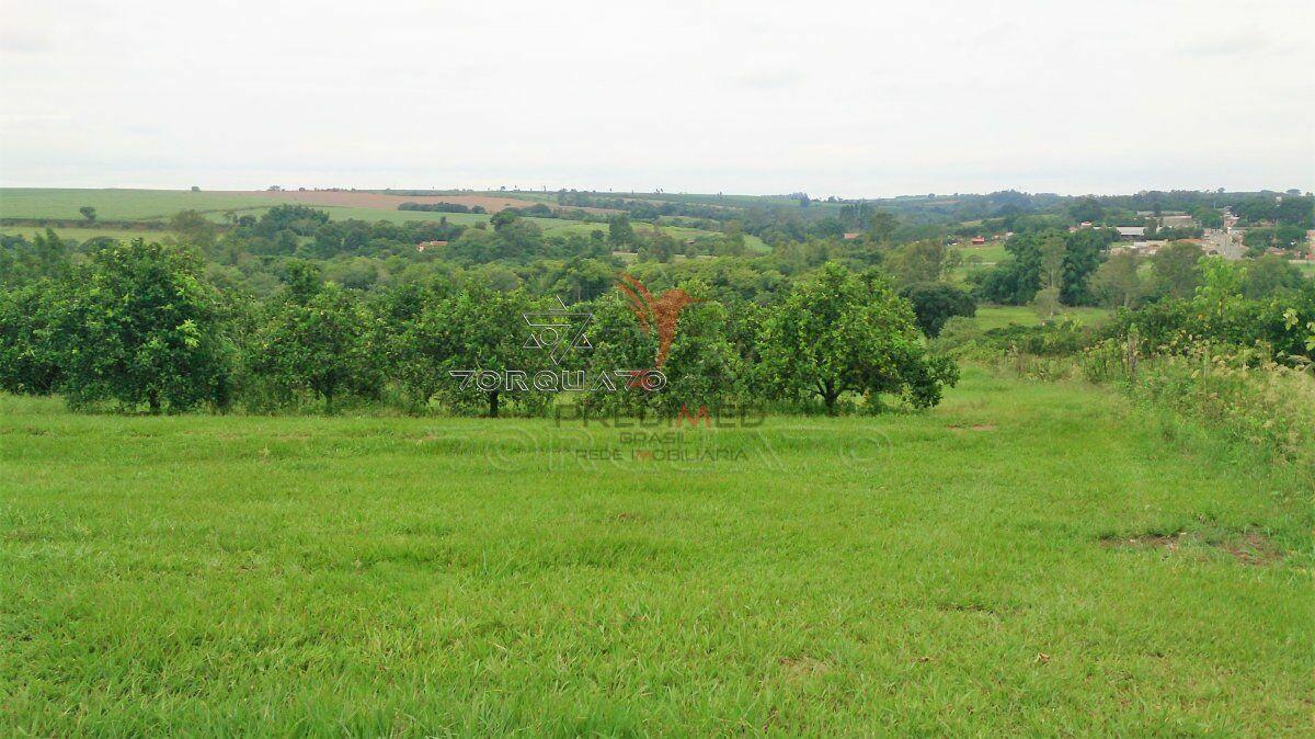 Terreno, 7 hectares - Foto 8