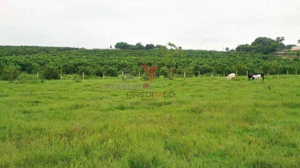 Terreno, 7 hectares - Foto 16