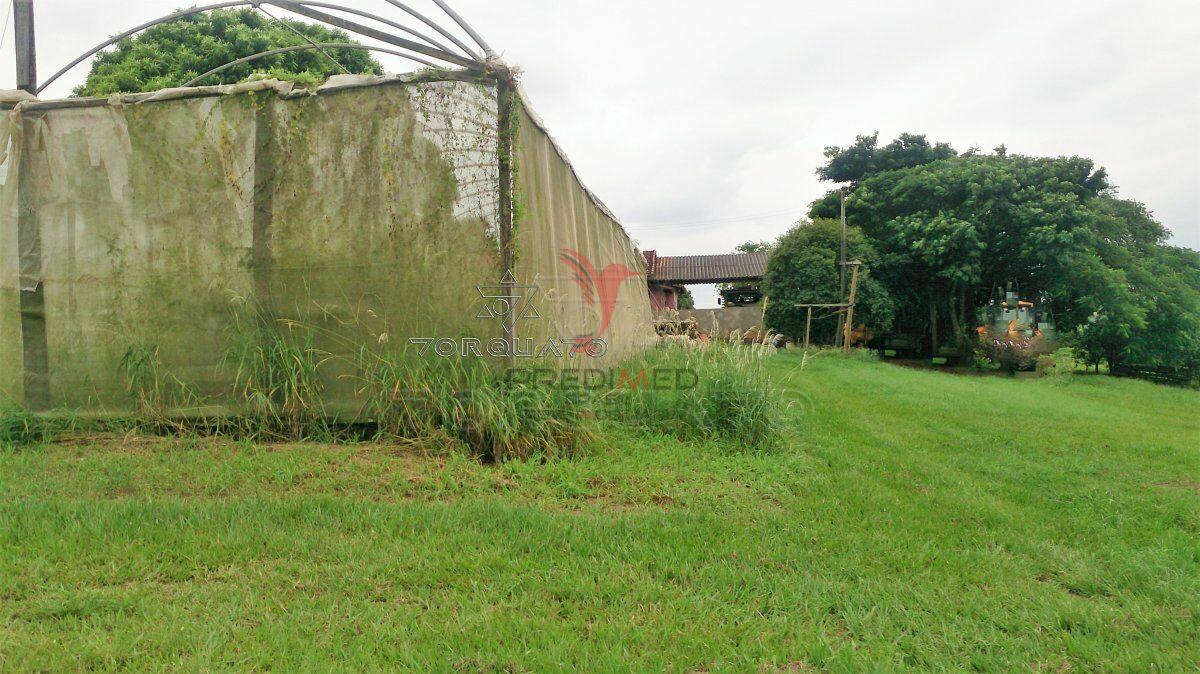 Terreno, 7 hectares - Foto 10