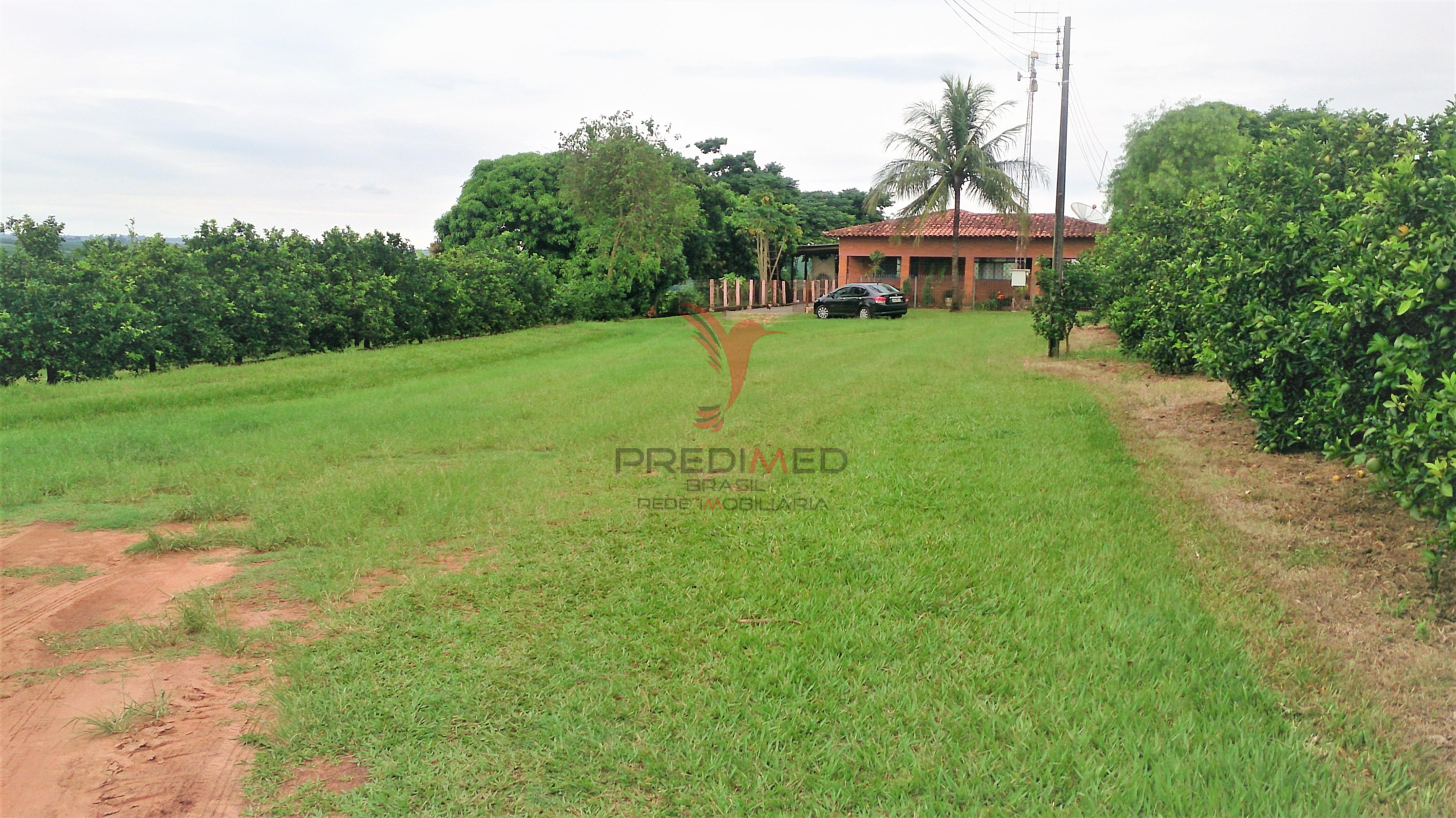 Sítio, 2 quartos, 7 hectares - Foto 2