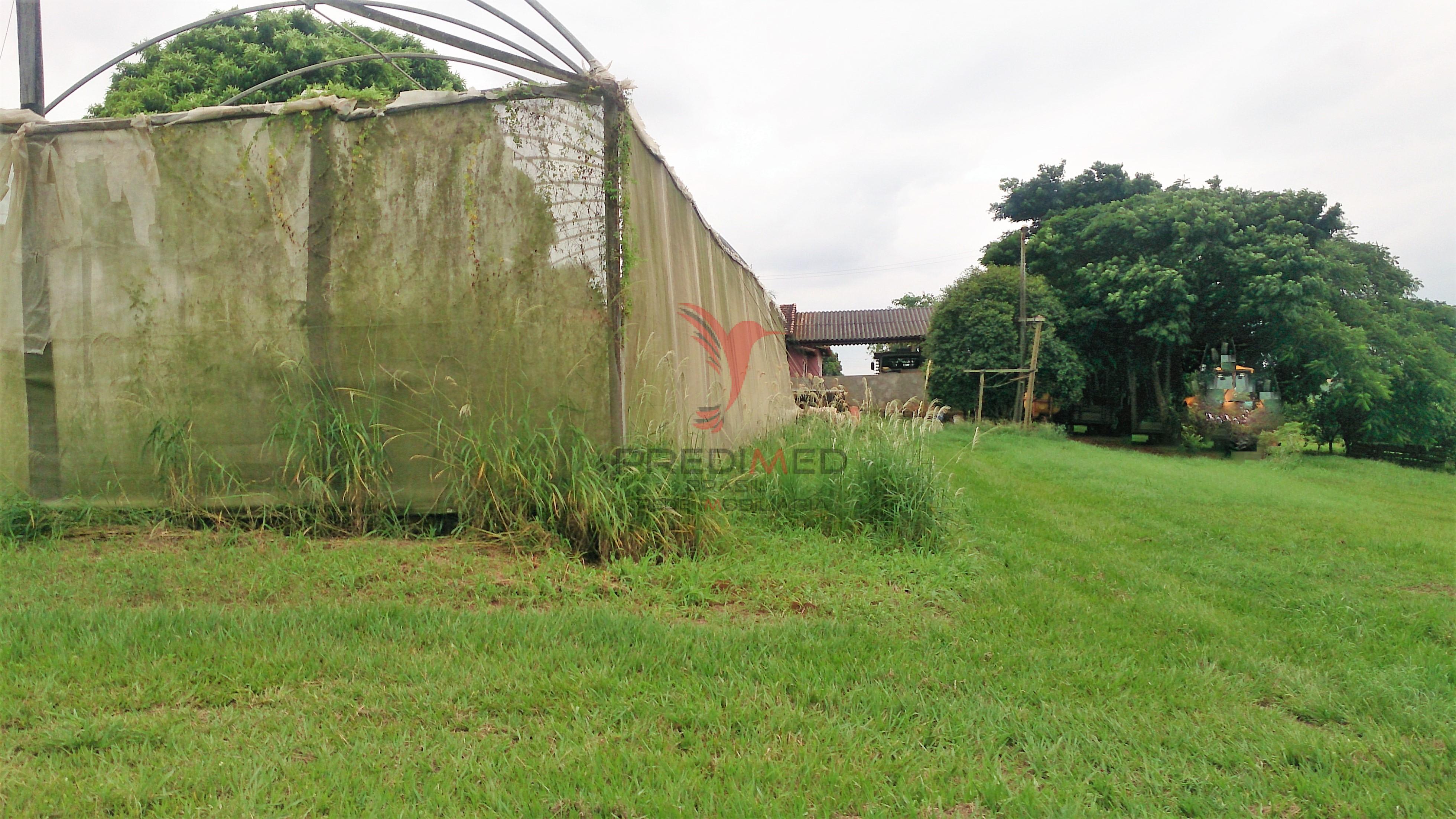 Sítio, 2 quartos, 7 hectares - Foto 4