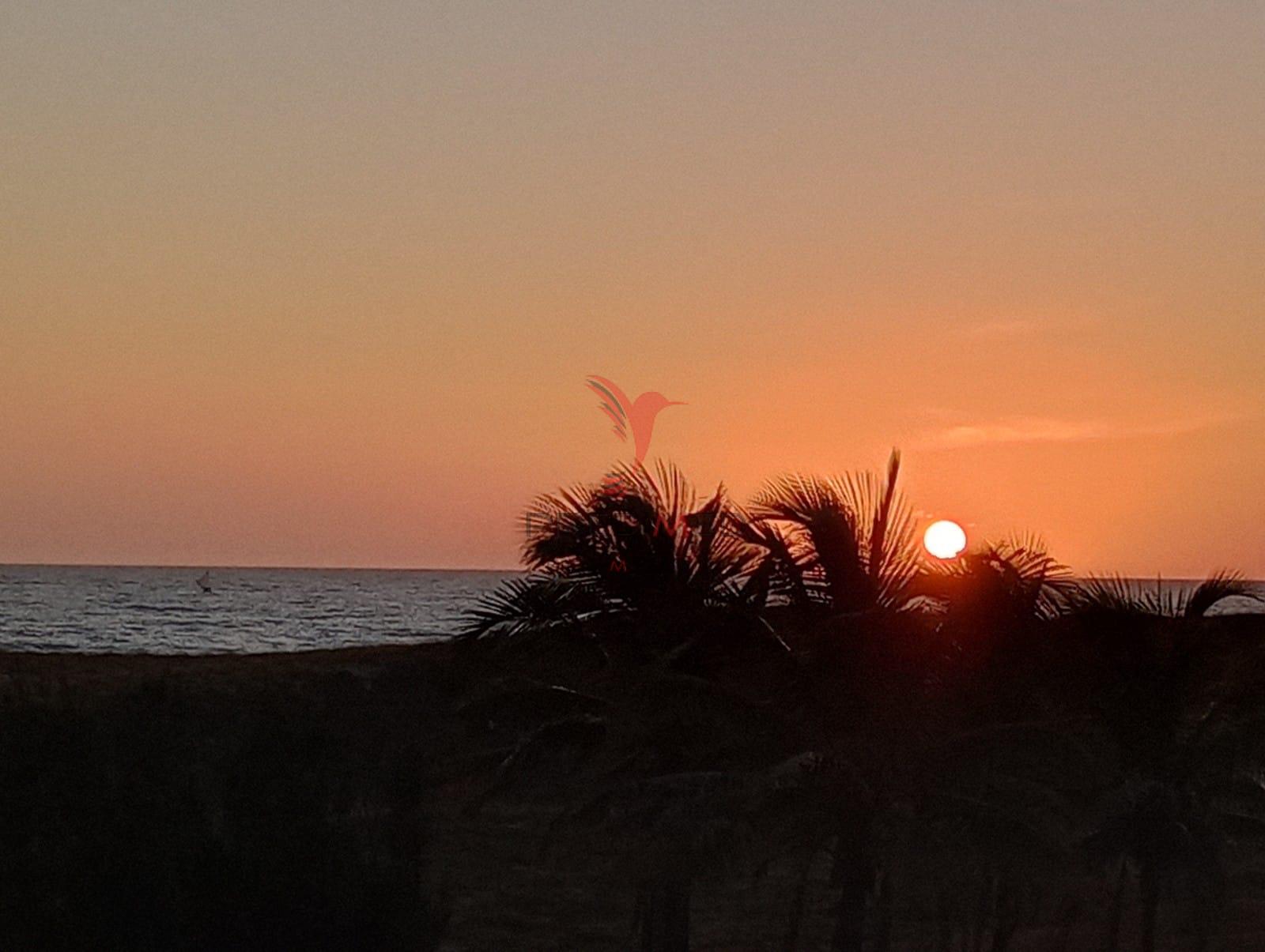 Casa, 4 quartos - Foto 2