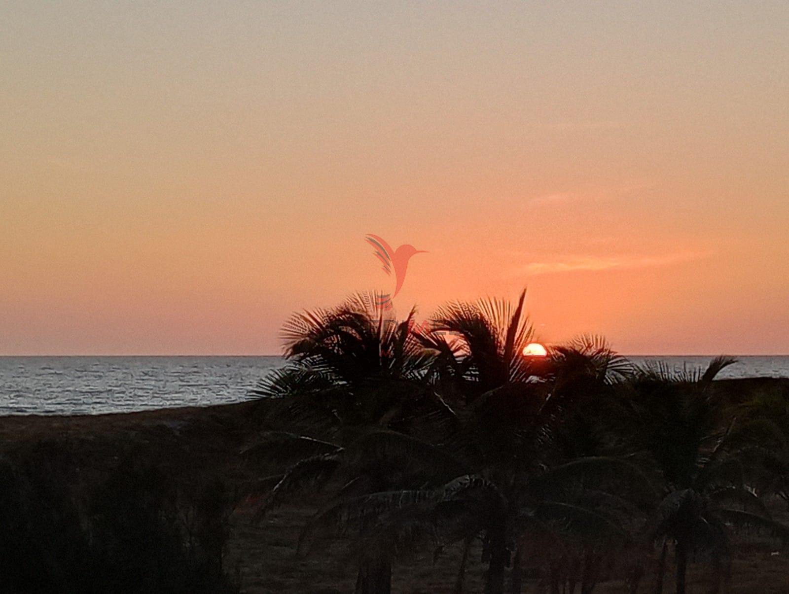 Casa, 4 quartos - Foto 5