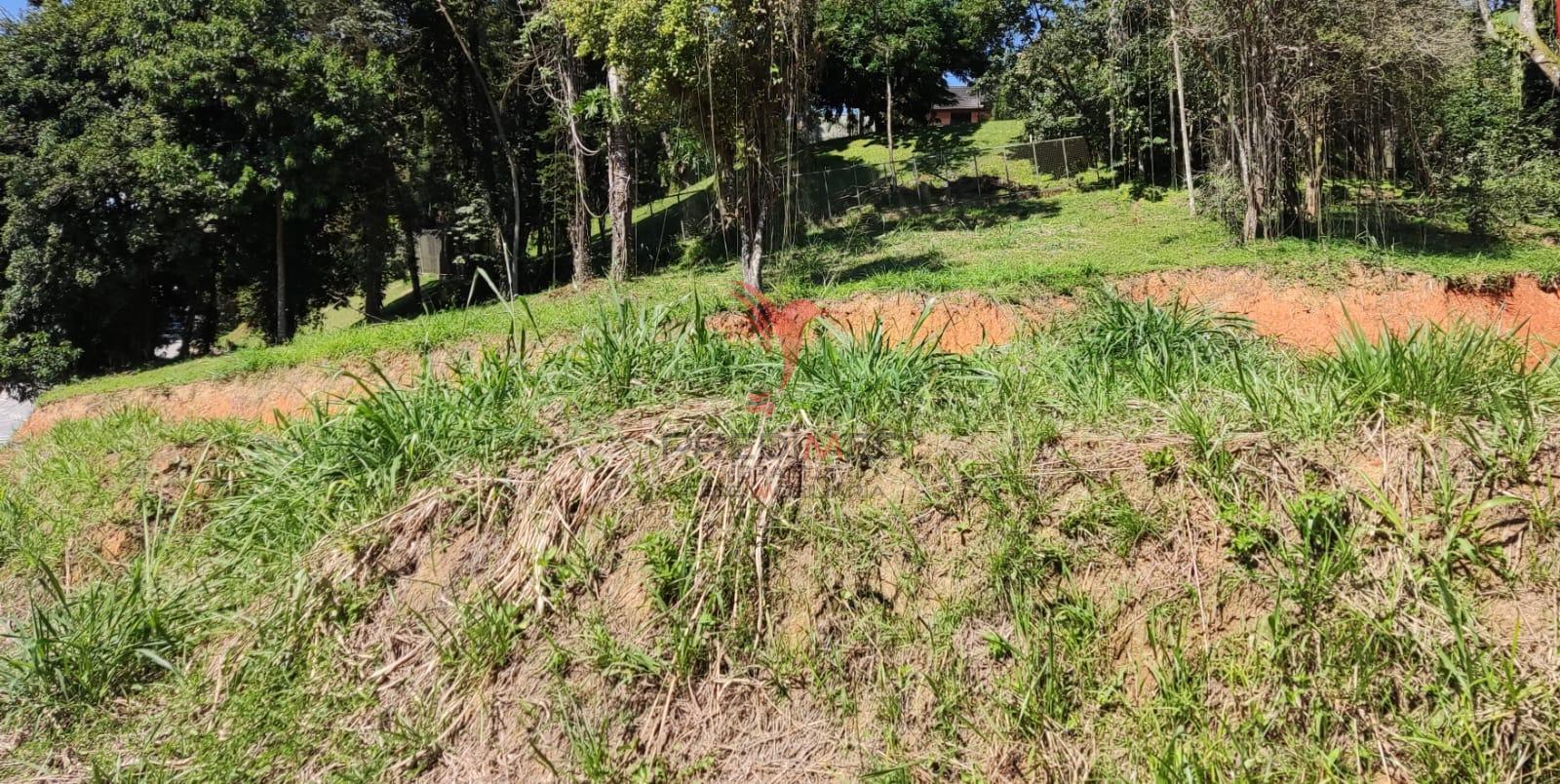 Terreno, 1962 m² - Foto 5