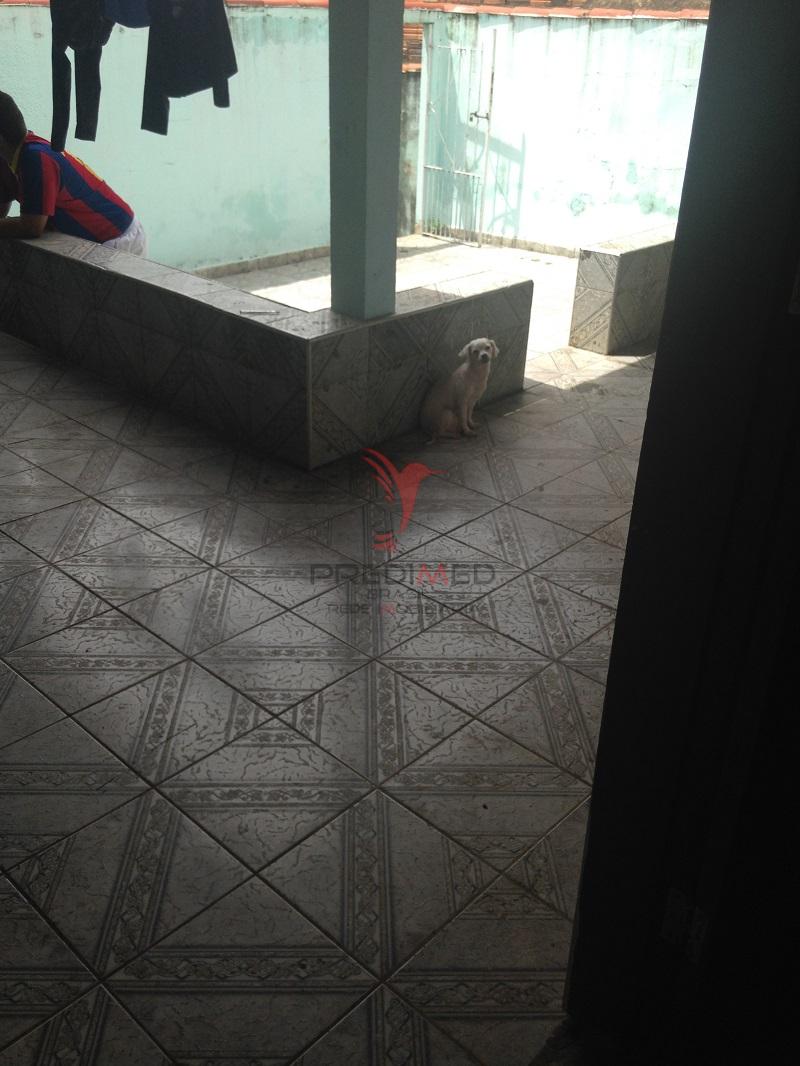 Casa, 4 quartos - Foto 4