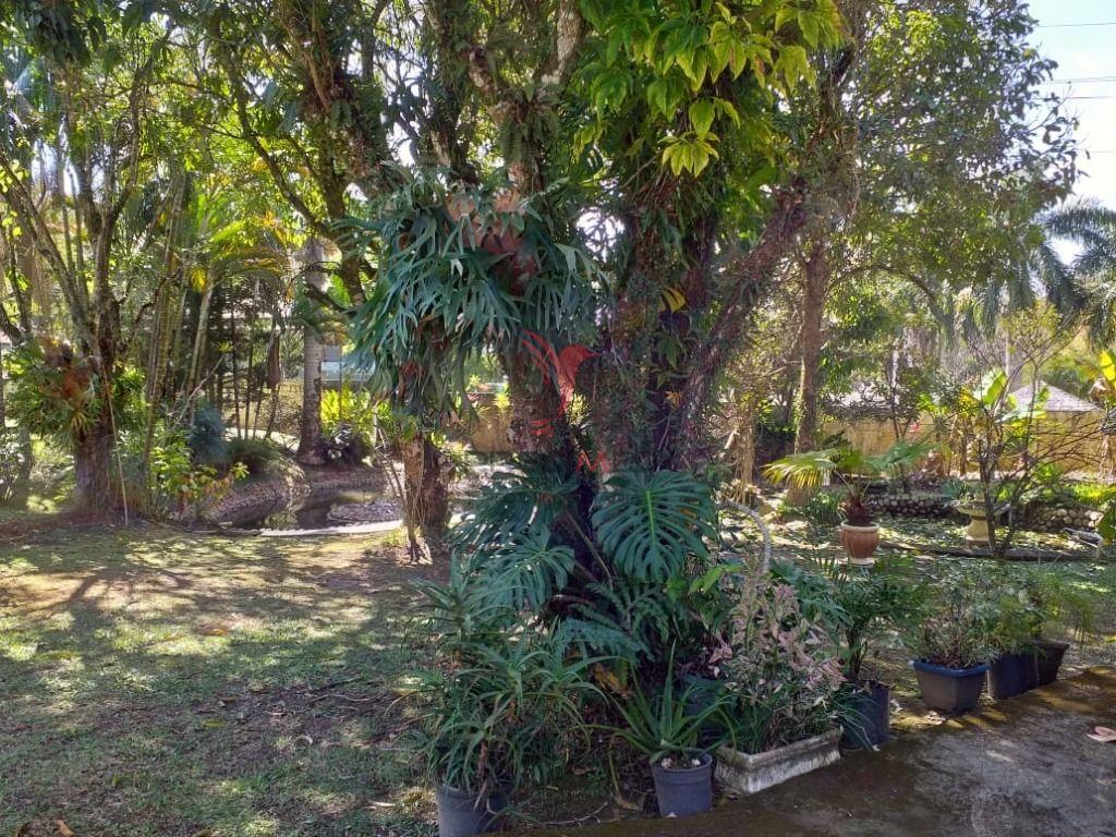 Chácara, 3 quartos, 5350 m² - Foto 40