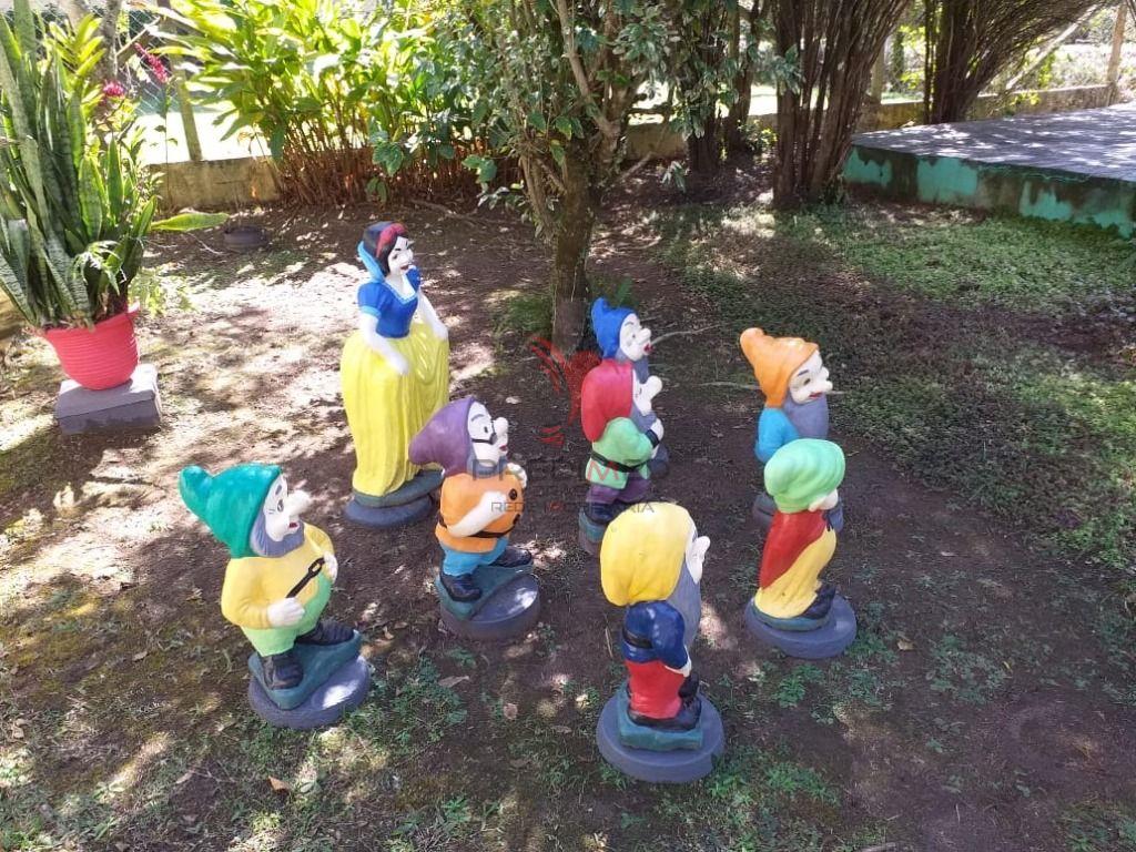 Chácara, 3 quartos, 5350 m² - Foto 42