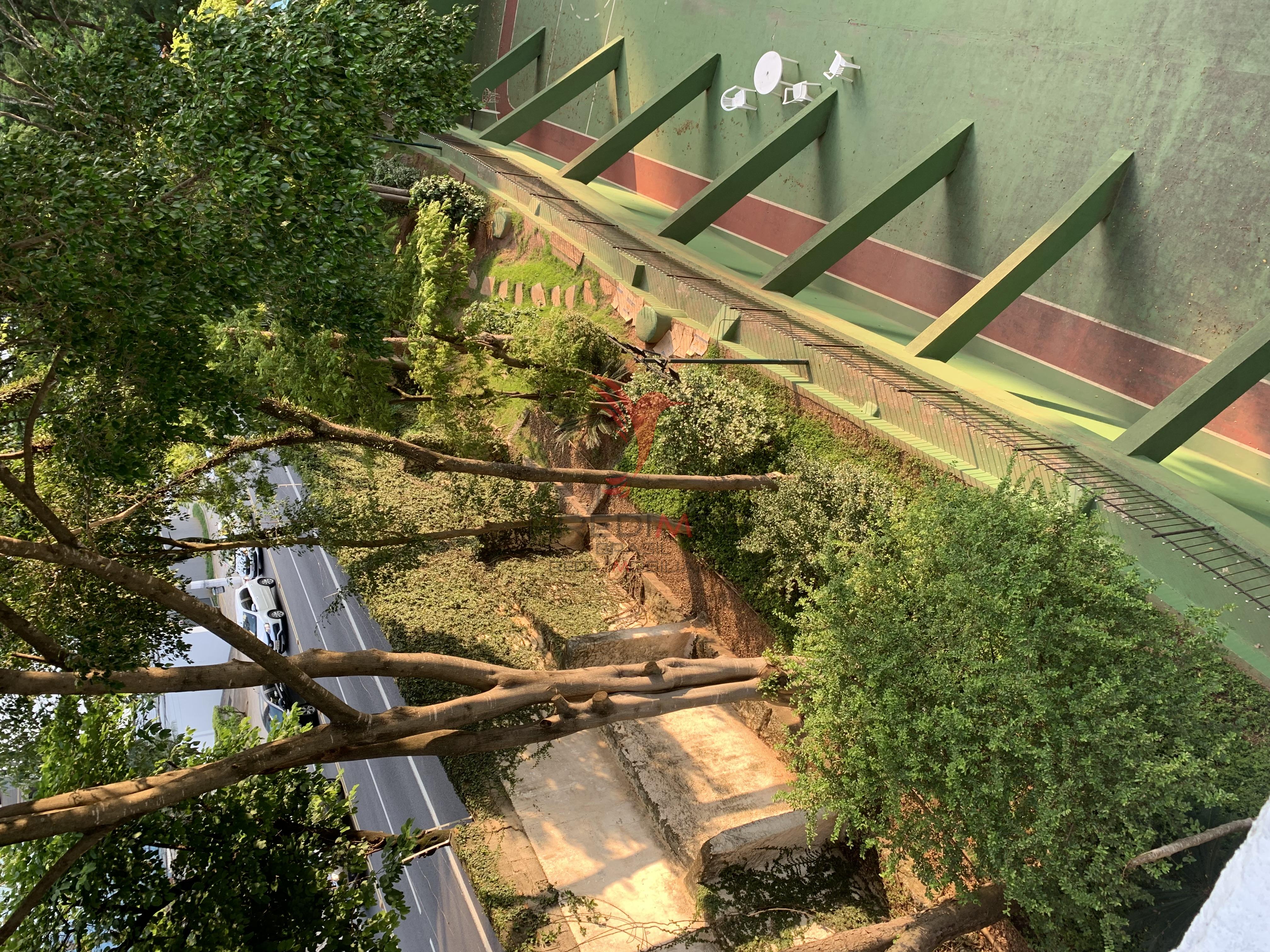 Apartamento, 4 quartos, 188 m² - Foto 41