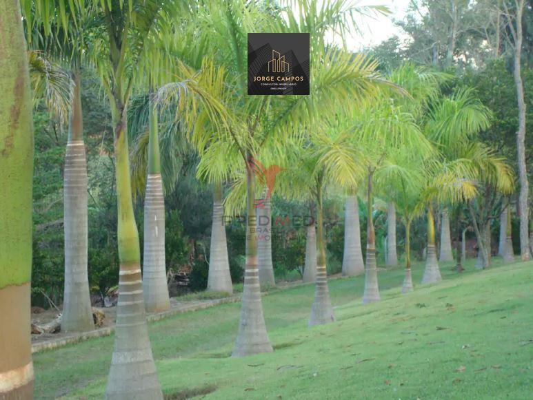 Chácara, 5 quartos, 2 hectares - Foto 1