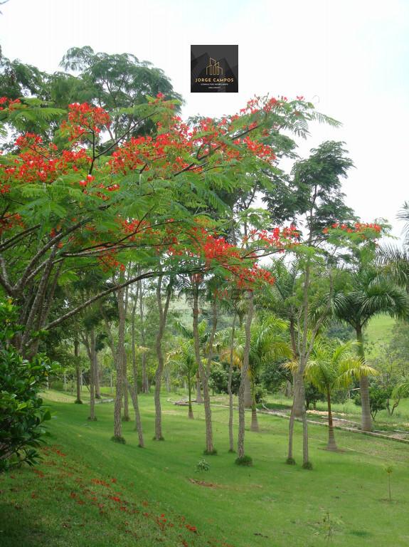 Chácara, 5 quartos, 2 hectares - Foto 6