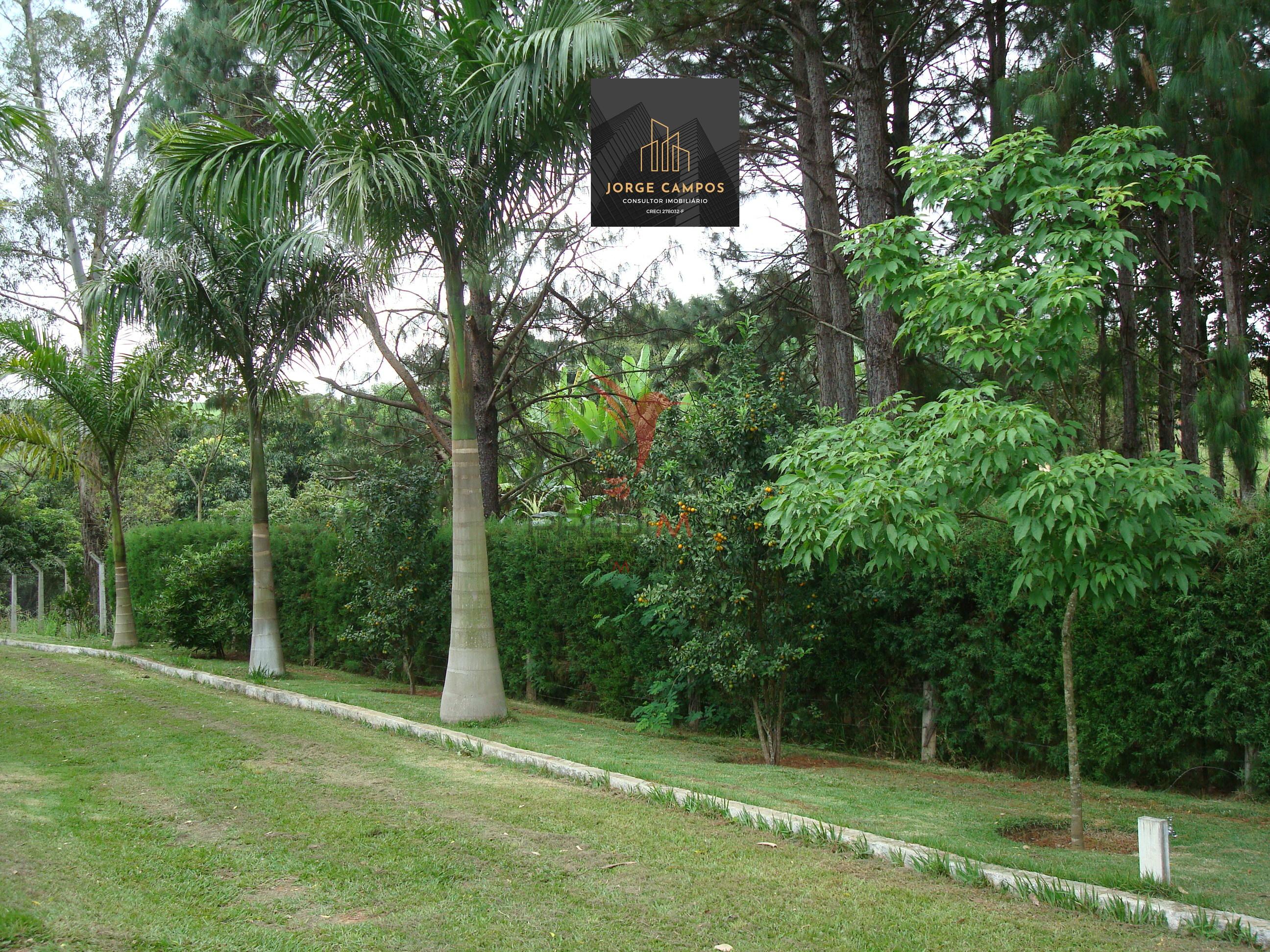 Chácara, 5 quartos, 2 hectares - Foto 9