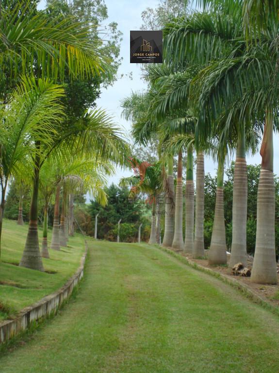 Chácara, 5 quartos, 2 hectares - Foto 2