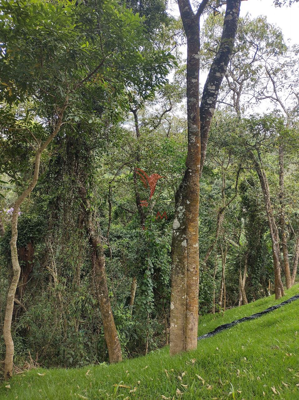 Terreno, 2000 m² - Foto 2