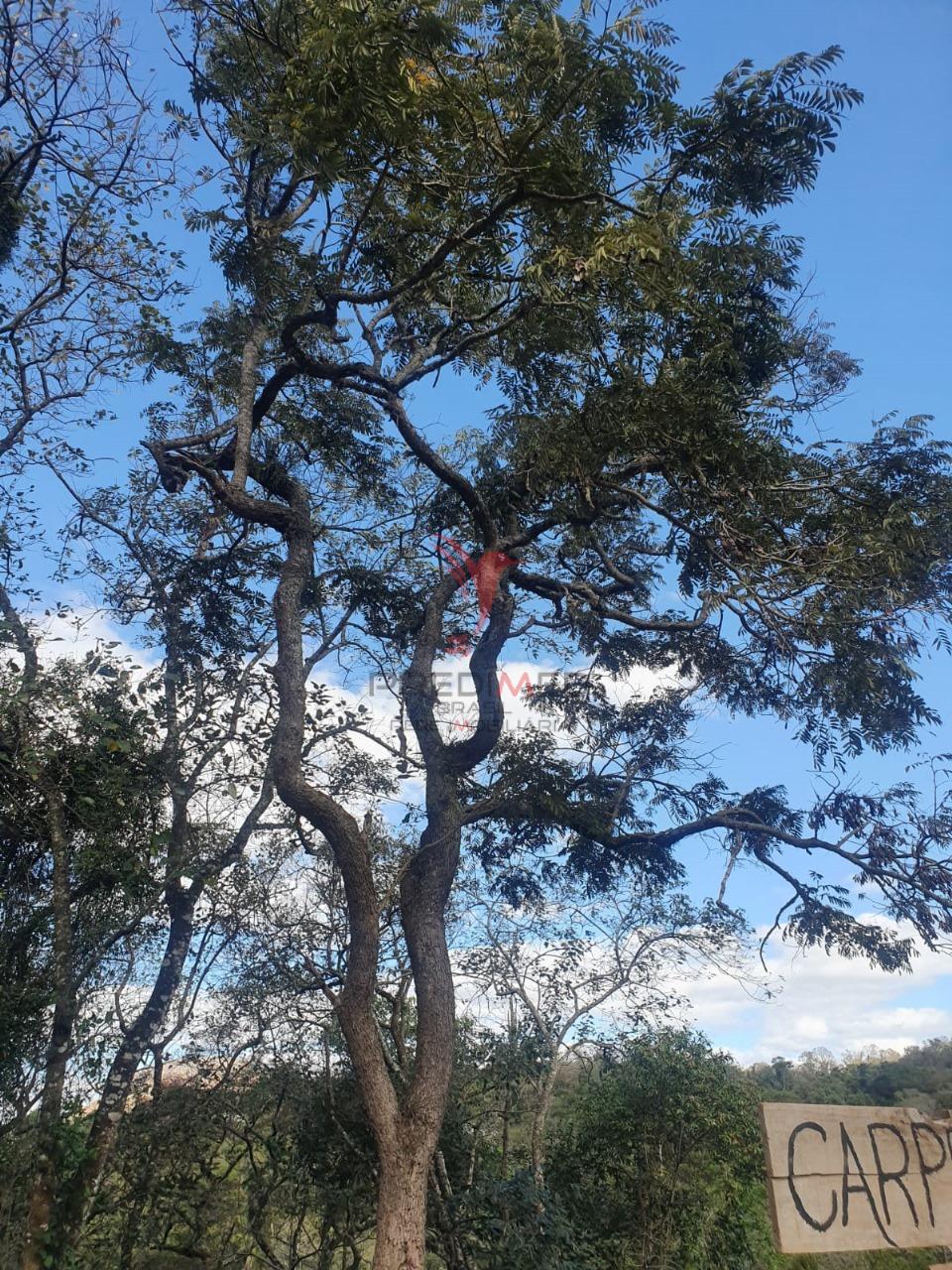 Terreno, 2000 m² - Foto 6